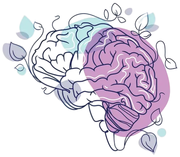 brain